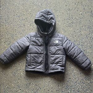 The North Face Gray Puffer Jacket with Hood